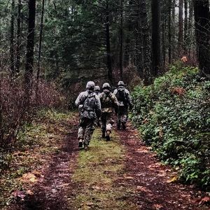 Meet your Posher, Gavin